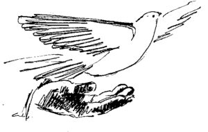 Podziękowanie z Malindi za dar serca dla Pope Francis Rescue Home